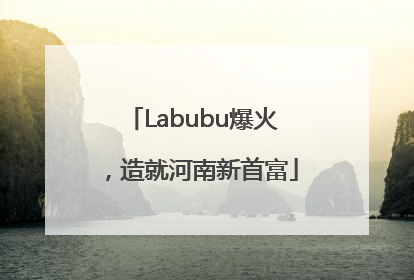 Labubu爆火，造就河南新首富