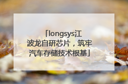 longsys江波龙自研芯片，筑牢汽车存储技术根基